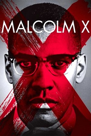 090 Malcolm X